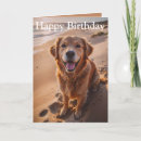 Search for golden retriever cards Canine