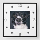 Search for black and white face clocks Dog lover