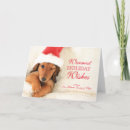 Search for awake cards Canine