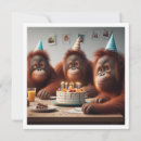 Search for orangutangs Ape