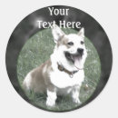 Search for welsh corgi stickers Animals
