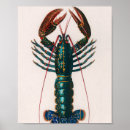 Search for crawfish posters Ocean