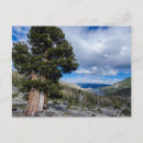 Search for eldorado postcards Blue