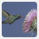 Search for north america stickers Flower