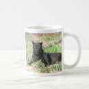 Search for catamount mugs Panther