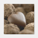 Search for indulgence magnets Close up