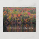 Search for fall colour postcards Autumn leaves