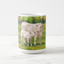 Search for beef cow mugs Livestock