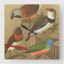 Search for cages art Bird