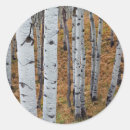 Search for wasatch stickers Forest