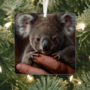 Search for cute koala bears christmas tree decorations For kids