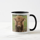 Search for cow head mugs Standing