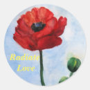 Search for radiator stickers Red