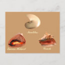 Search for nautilus postcards Nature