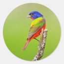 Search for larry stickers Blue