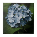 Search for hydrangea tiles Summer