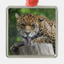 Search for jaguar christmas tree decorations Leopard