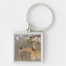 Search for getting together accessories Nature