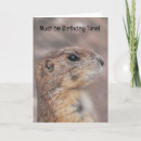 Search for prairie dog cards Groundhog