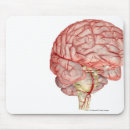 Search for rendering mousepads Human