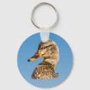 Search for ducks round key rings Quack