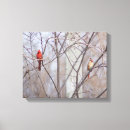 Search for female cardinal art Birds