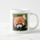 Search for chinese panda mugs Cute animals