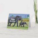 Search for elephant calf cards Animal