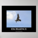 Search for birds of prey posters Bald eagles