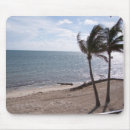 Search for tree key electronics Beach