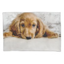Search for spaniel pillowcases Dog
