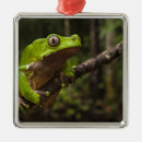 Search for amphibian christmas tree decorations South america