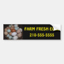 Search for chicken farm bumper stickers Rooster