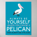 Search for pelican posters Animal