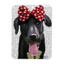 Search for bows magnets Flowers