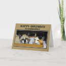 Search for boxing birthday cards Cats
