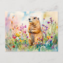 Search for marmot postcards Wildlife