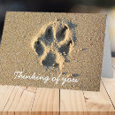 Search for cat sympathy cards Memorial
