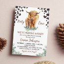 Search for baby highland cow Moo