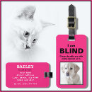 Search for blind Medical condition