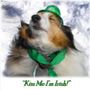 Search for irish playing cards Green