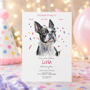 Search for bostons invitations Dogs