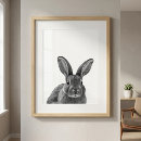 Search for white rabbit posters Woodland