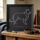 Search for collies art Border collie