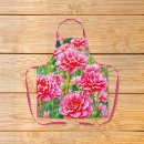 Search for carnations aprons Nature