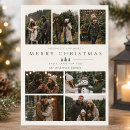 Search for sage green christmas cards Modern