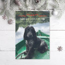 Search for cute dog christmas cards Santa