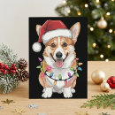 Search for cute corgi postcards Pembroke welsh corgi