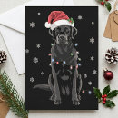 Search for labrador christmas cards Festive