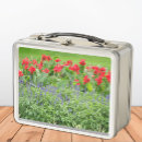 Search for photo lunch boxes Nature